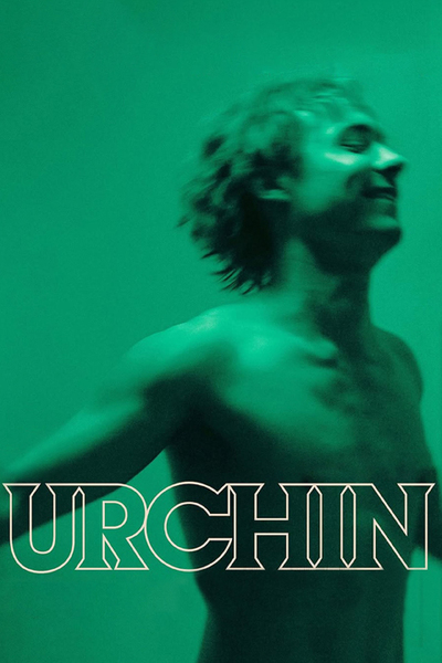 Urchin
